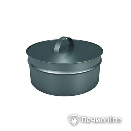 Заглушки Теплов и Сухов Заглушка ревизии Термо-Р 304 0.5 D220(120) в Витебске