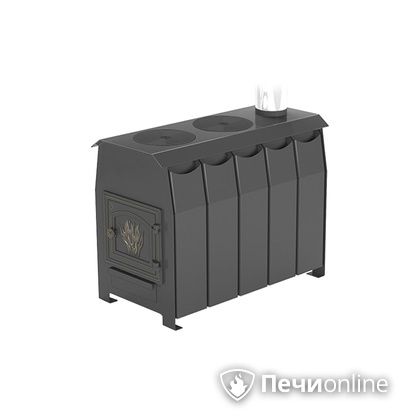 Отопительно-варочная печь Везувий Комфорт 300 (ДТ-3) в Витебске