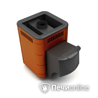Дровяная банная печь TMF Оса Carbon терракота дверь антрацит в Витебске